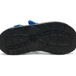 Z/ Adjustable Sandals|Sandals|Chaco Men's Blue Fish Wide Width Z/1 Classic Sandal Anna’s Blue Fish