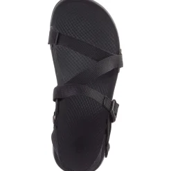 Sandals|Chaco Men's Lowdown Sandal Black