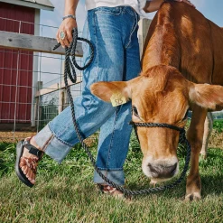 Z/ Adjustable Sandals|Sandals|Chaco Men's Mega Cow Z/1 Wide-Strap Classic Sandal Cow Print