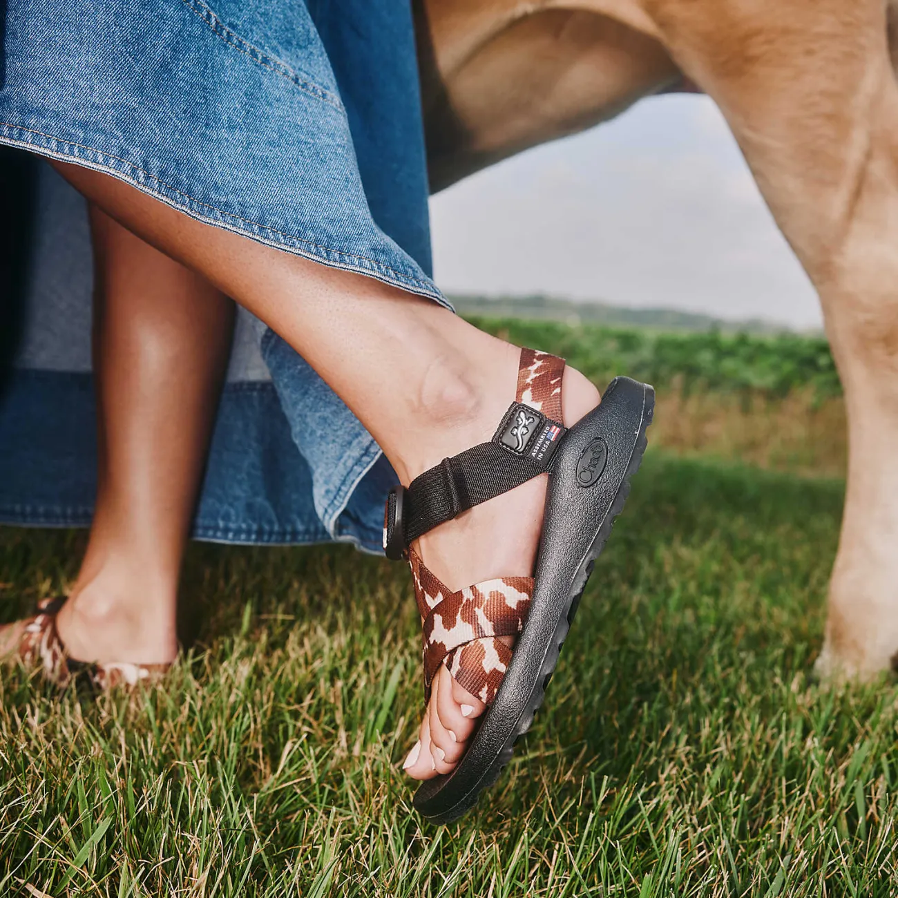 Z/ Adjustable Sandals|Sandals|Chaco Women's Mega Cow Z/1 Wide-Strap Classic Sandal Cow Print