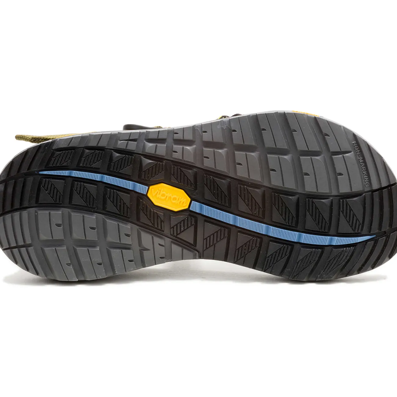 Z/ Adjustable Sandals|Chaco Women's Z/1 Rapid Pro Adjustable Strap Classic Sandal Aquatic Flora