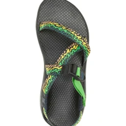 Z/ Adjustable Sandals|Chaco Women's Z/1 Rapid Pro Adjustable Strap Classic Sandal Eddy Green Envy