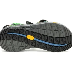 Z/ Adjustable Sandals|Chaco Women's Z/1 Rapid Pro Adjustable Strap Classic Sandal Eddy Green Envy