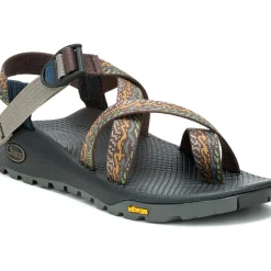 Z/ Adjustable Sandals|Chaco Women's Z/2 Rapid Pro Adjustable Strap Classic Sandal Eddy Fungi