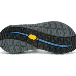 Z/ Adjustable Sandals|Chaco Women's Z/2 Rapid Pro Adjustable Strap Classic Sandal Eddy Fungi